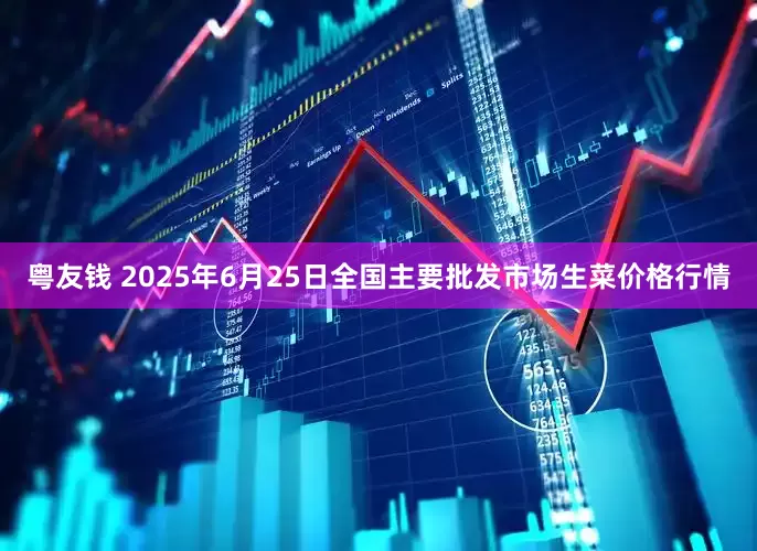 粤友钱 2025年6月25日全国主要批发市场生菜价格行情