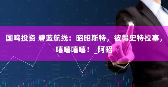 国鸣投资 碧蓝航线：昭昭斯特，彼得史特拉塞，嘻嘻嘻嘻！_阿昭