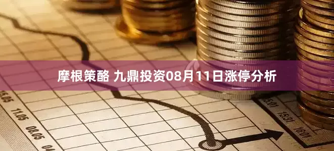 摩根策酪 九鼎投资08月11日涨停分析