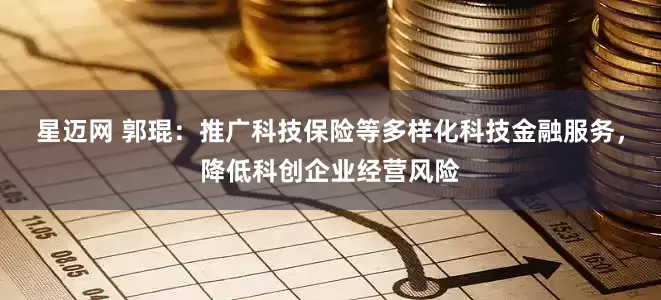 星迈网 郭琨：推广科技保险等多样化科技金融服务，降低科创企业经营风险