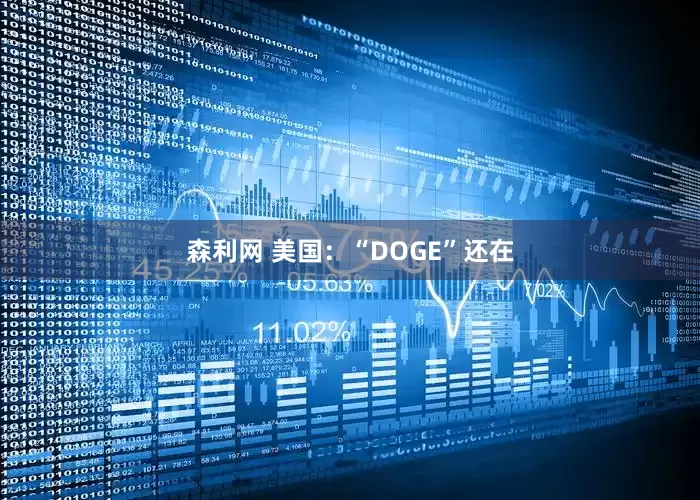 森利网 美国：“DOGE”还在